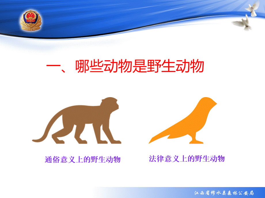 野生动物保护宣传PPT禁止食用野生动物野生动物保护培训为什么保护野生动物如何保护野生动物PPT推荐.ppt_第3页