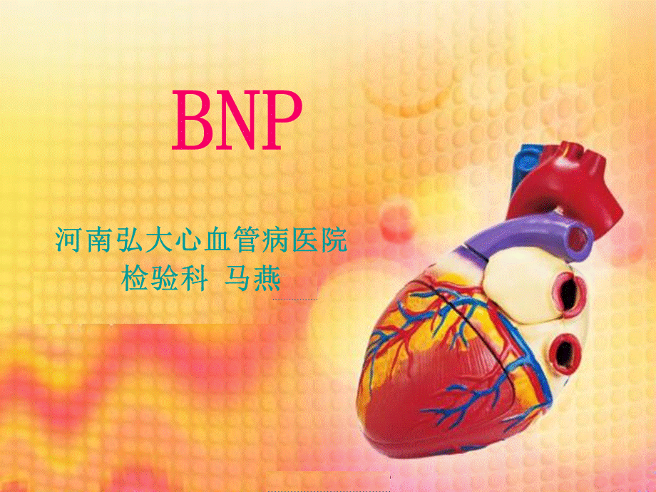 脑钠肽BNP优质PPT.ppt