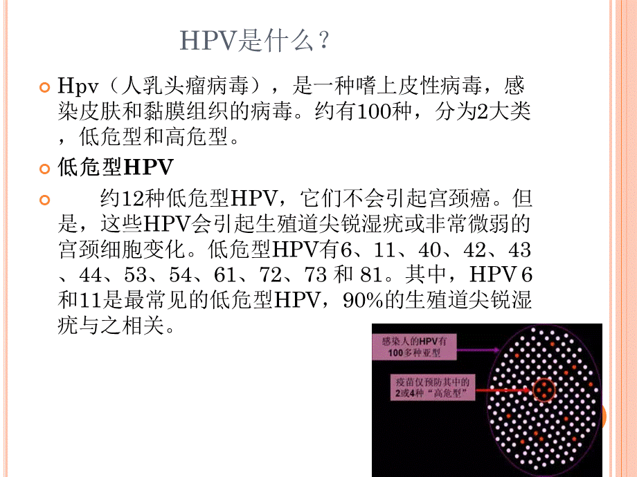 认识HPV病毒感染.ppt_第3页