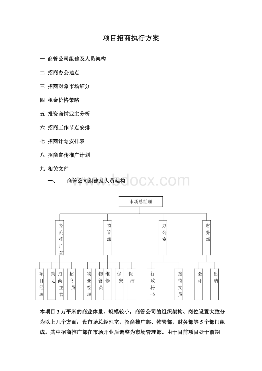 项目招商执行方案Word文档下载推荐.docx