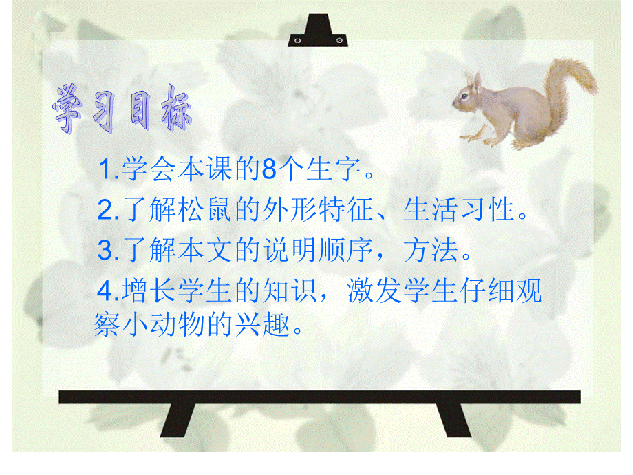 10、松鼠课件.ppt_第2页