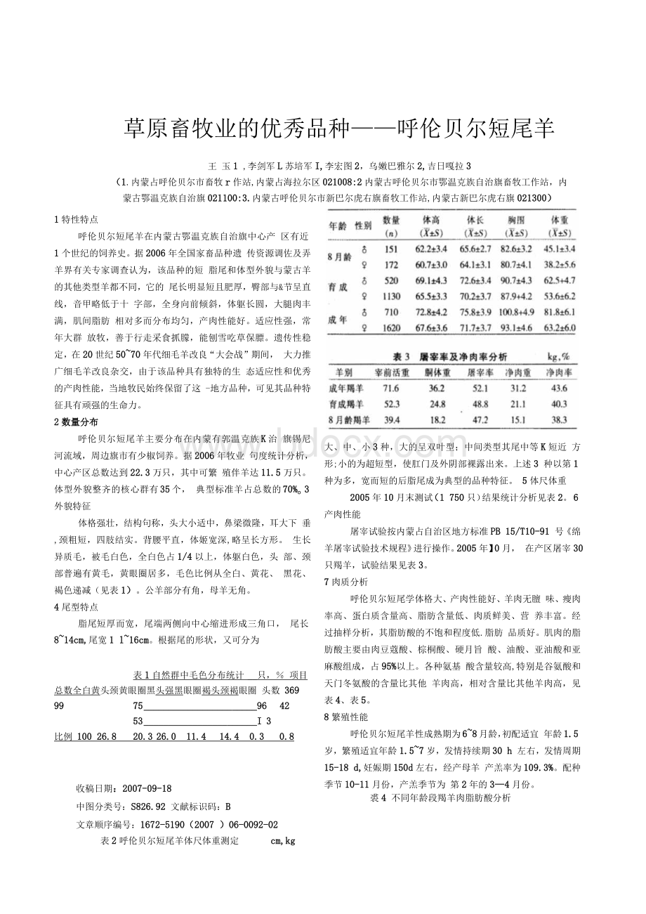 草原畜牧业的优秀品种——呼伦贝尔短尾羊Word格式.docx