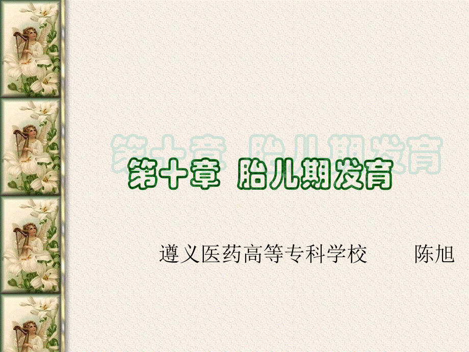 第十章胎儿期发育PPT资料.ppt