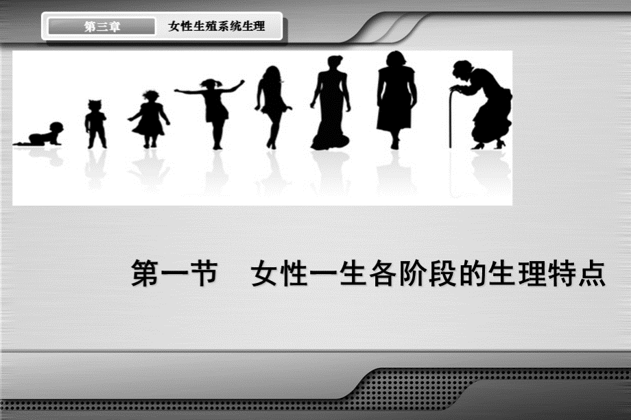 女性生殖系统生理.ppt_第2页