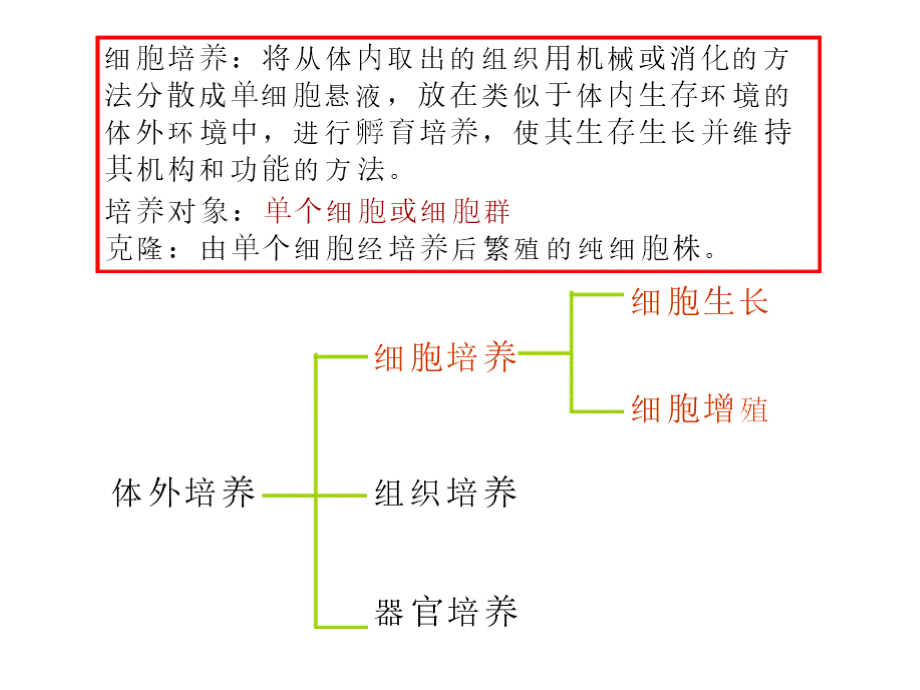 细胞培养及染色体制备PPT格式课件下载.pptx_第2页