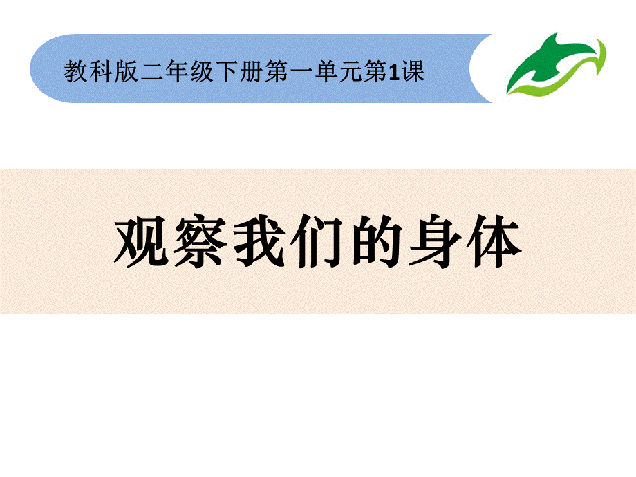 《观察我们的身体》PPT.pptx_第1页