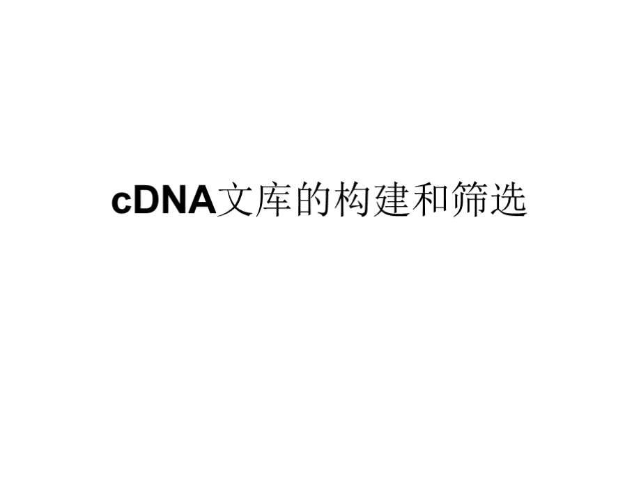 cdna的第一链合成反转录优质PPT.pptx