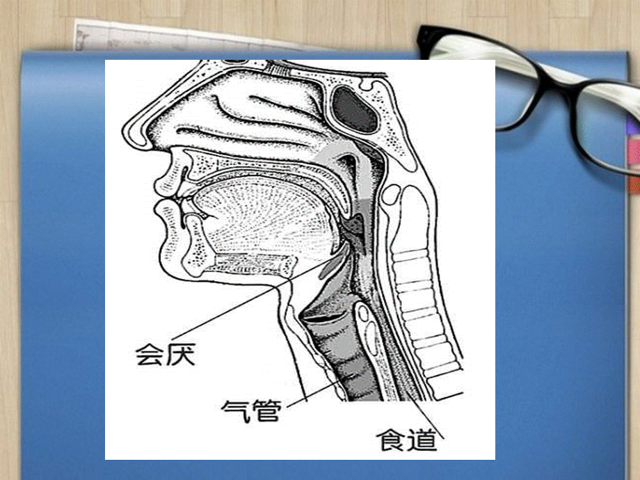 急性会厌炎护理查房PPT推荐.ppt_第2页