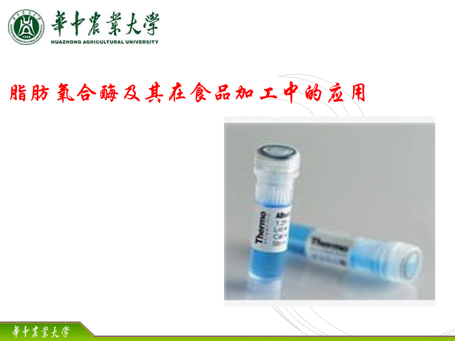 脂肪氧合酶的介绍及其应用PPT文件格式下载.ppt