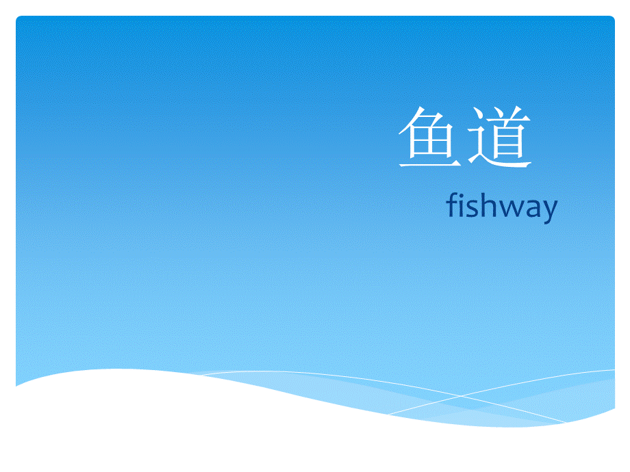 鱼道演示.ppt