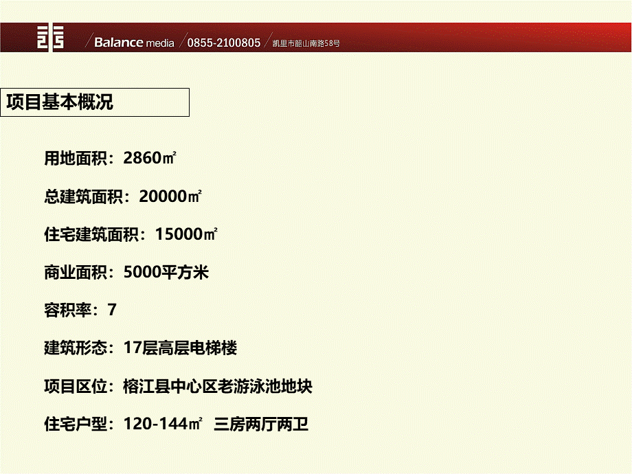 东升榕府项目策划.ppt_第3页