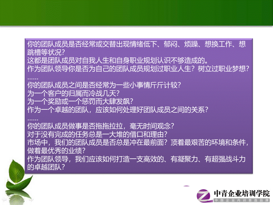 中青企业培训学院狼性团队训练营.ppt_第2页