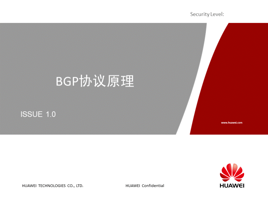 BGP协议原理培训胶片APPT资料.ppt