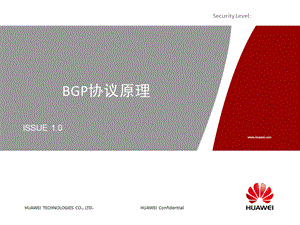 BGP协议原理培训胶片APPT资料.ppt