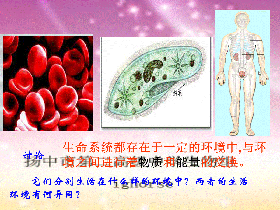 内环境与稳态专题课件.ppt_第2页