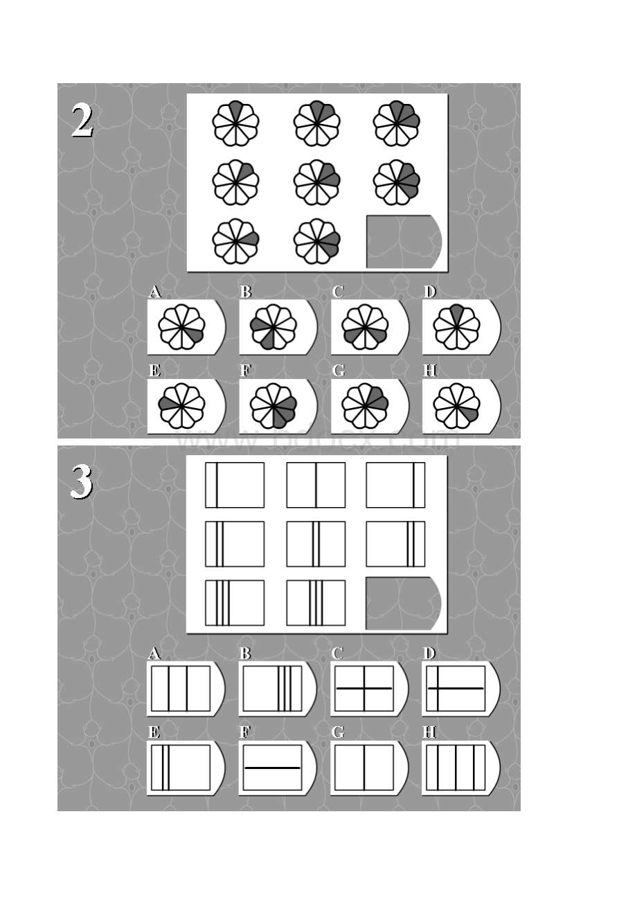 丹麦门萨权威IQ测试附参考答案.pdf_第3页