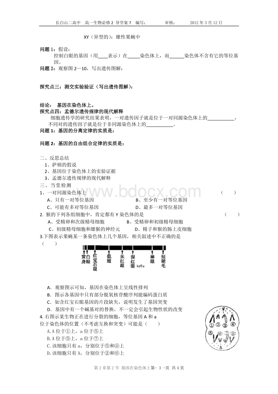 第二章第2节基因在染色体上导学案_精品文档Word文档下载推荐.doc_第3页