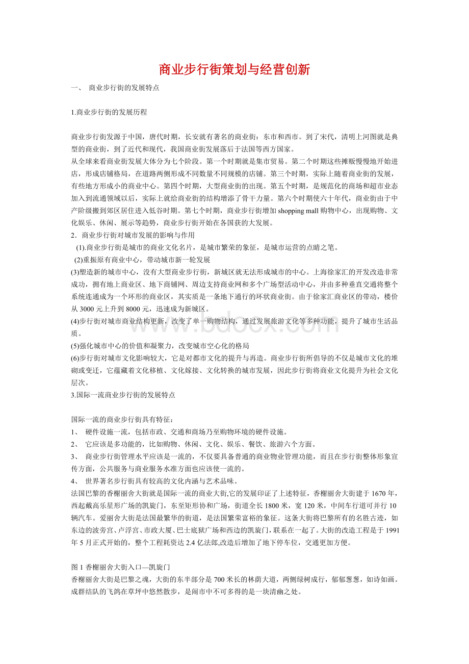 商业步行街策划与经营创新Word文件下载.doc_第1页