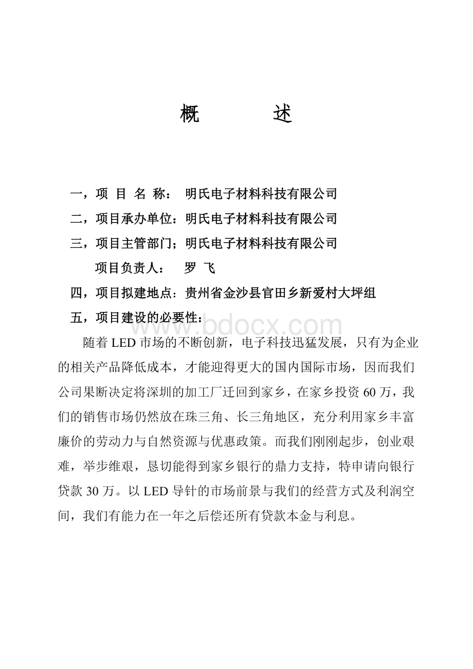 LED插针项目可行性报告新Word下载.doc_第2页