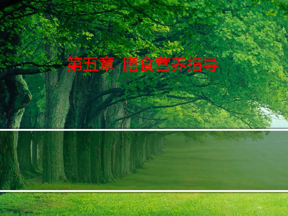 营养师第五章.ppt