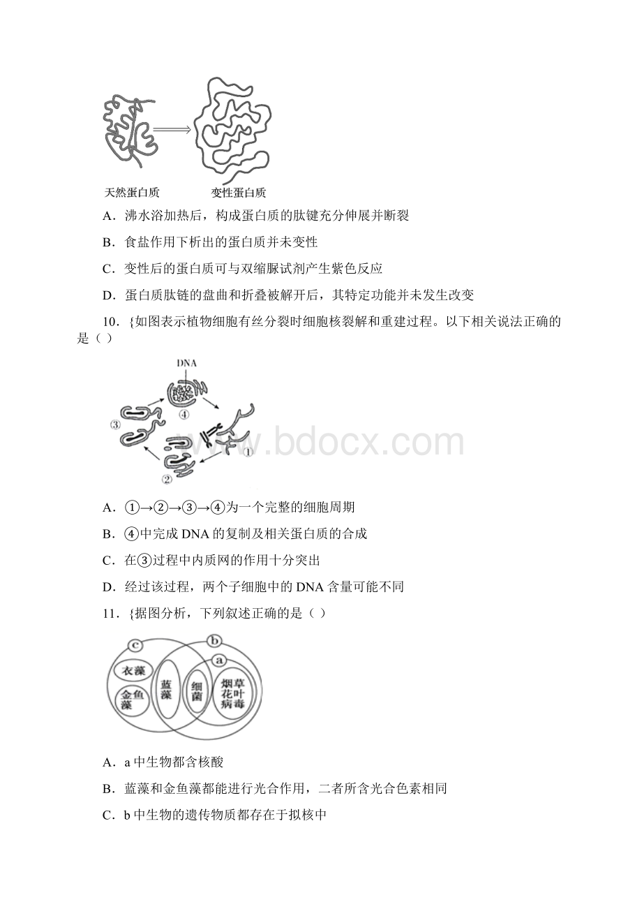 高一第一学期期末 非选择题专项联考生物试题及答案.docx_第3页