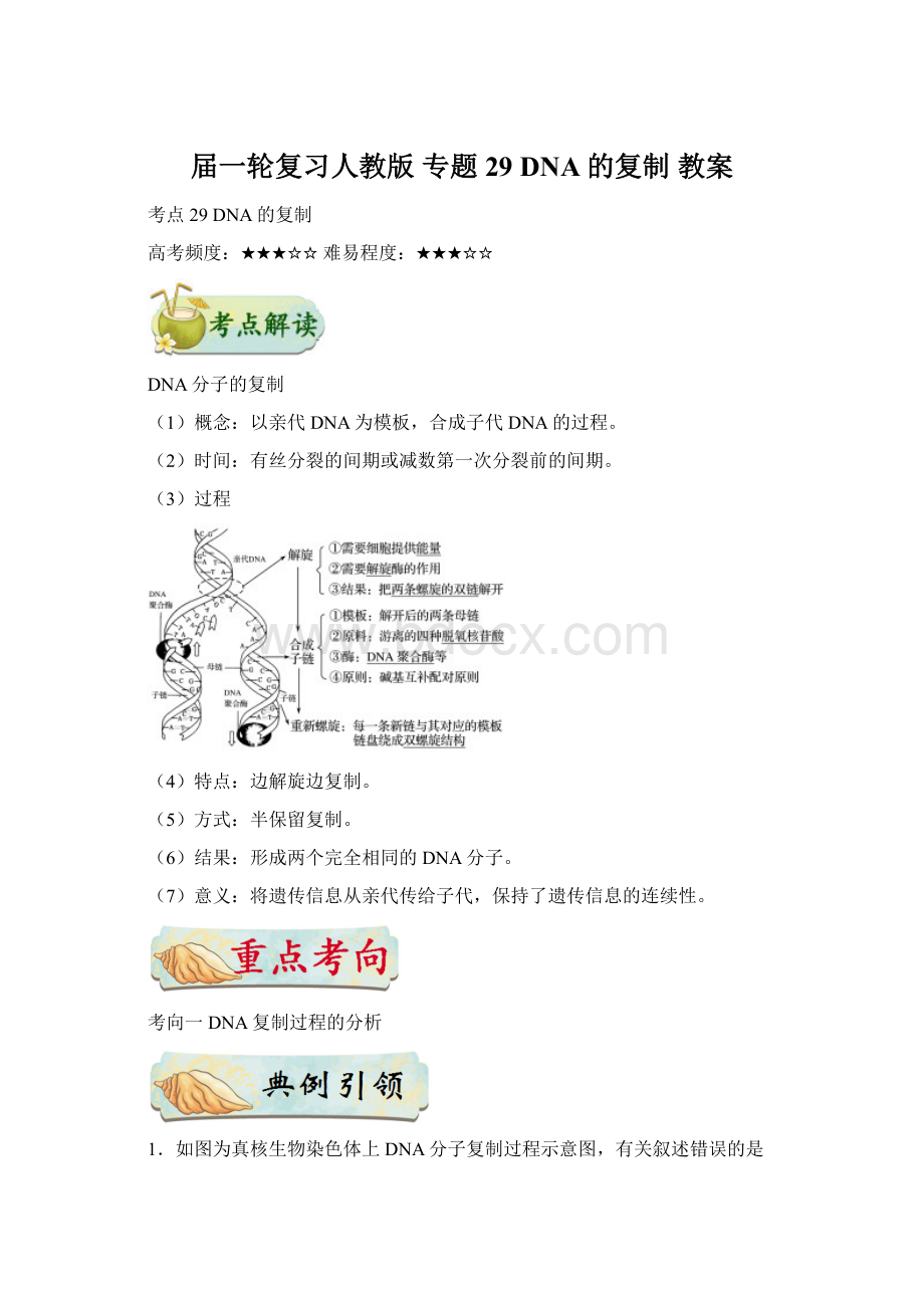 届一轮复习人教版 专题29 DNA的复制 教案Word格式文档下载.docx_第1页