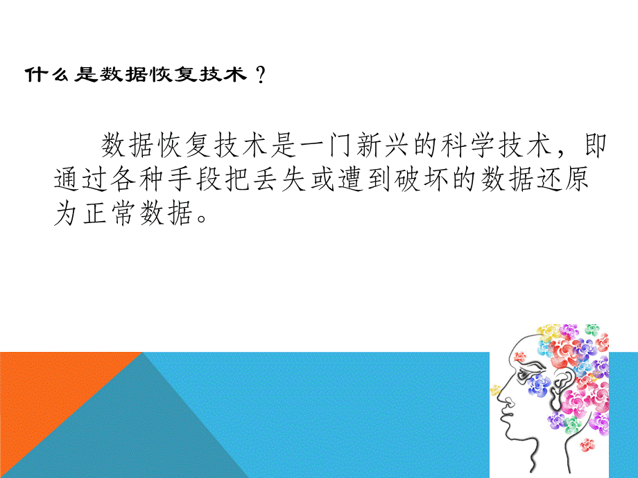 数据恢复技术.ppt_第2页