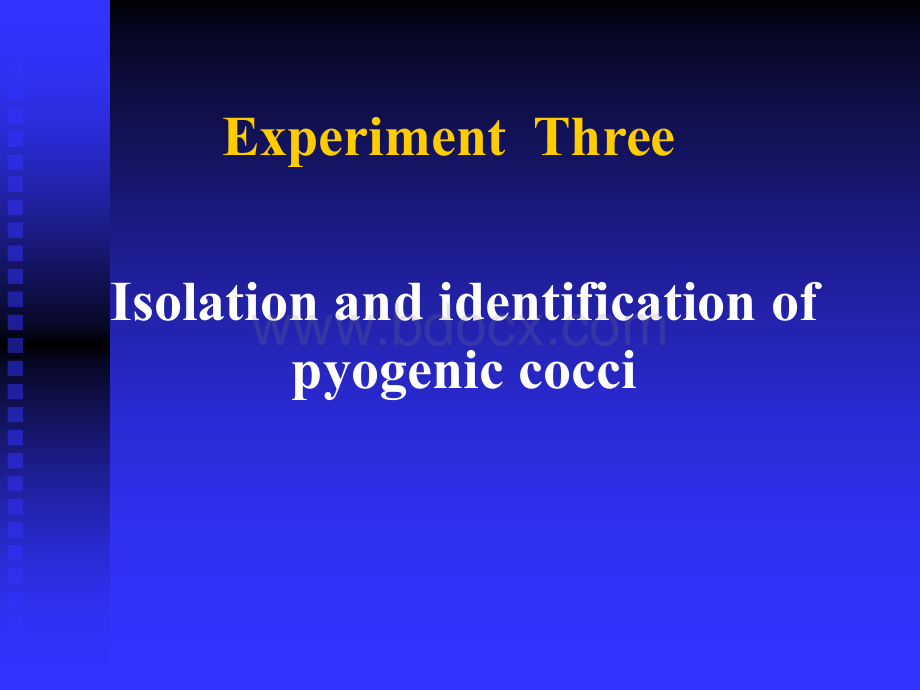 Experiment Three：Isolation and identification of pyogenic cocci（《医学微生物学》课件）PPT课件下载推荐.ppt_第1页