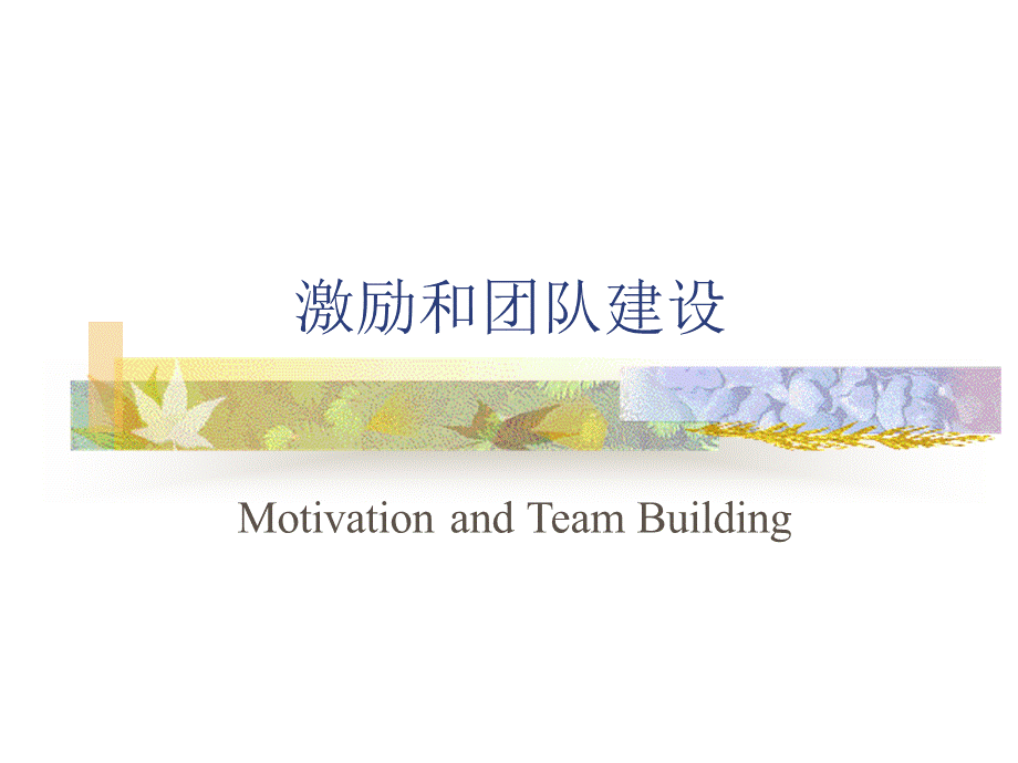 激励和团队建设.ppt