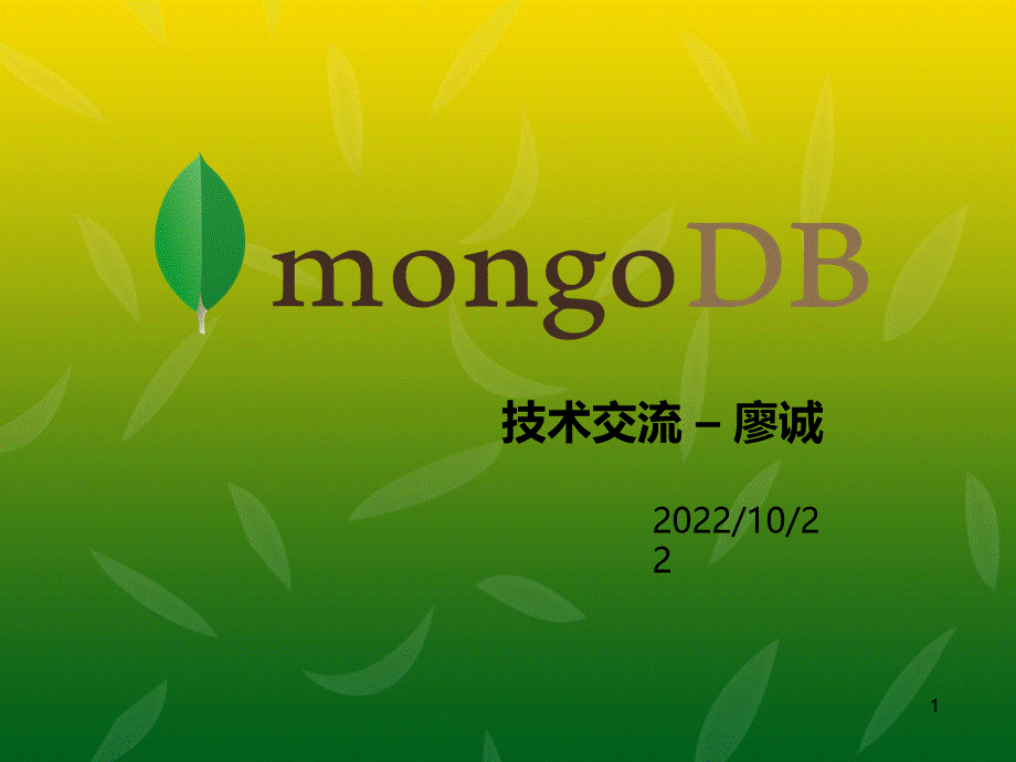 MongoDB由浅入深.ppt_第1页