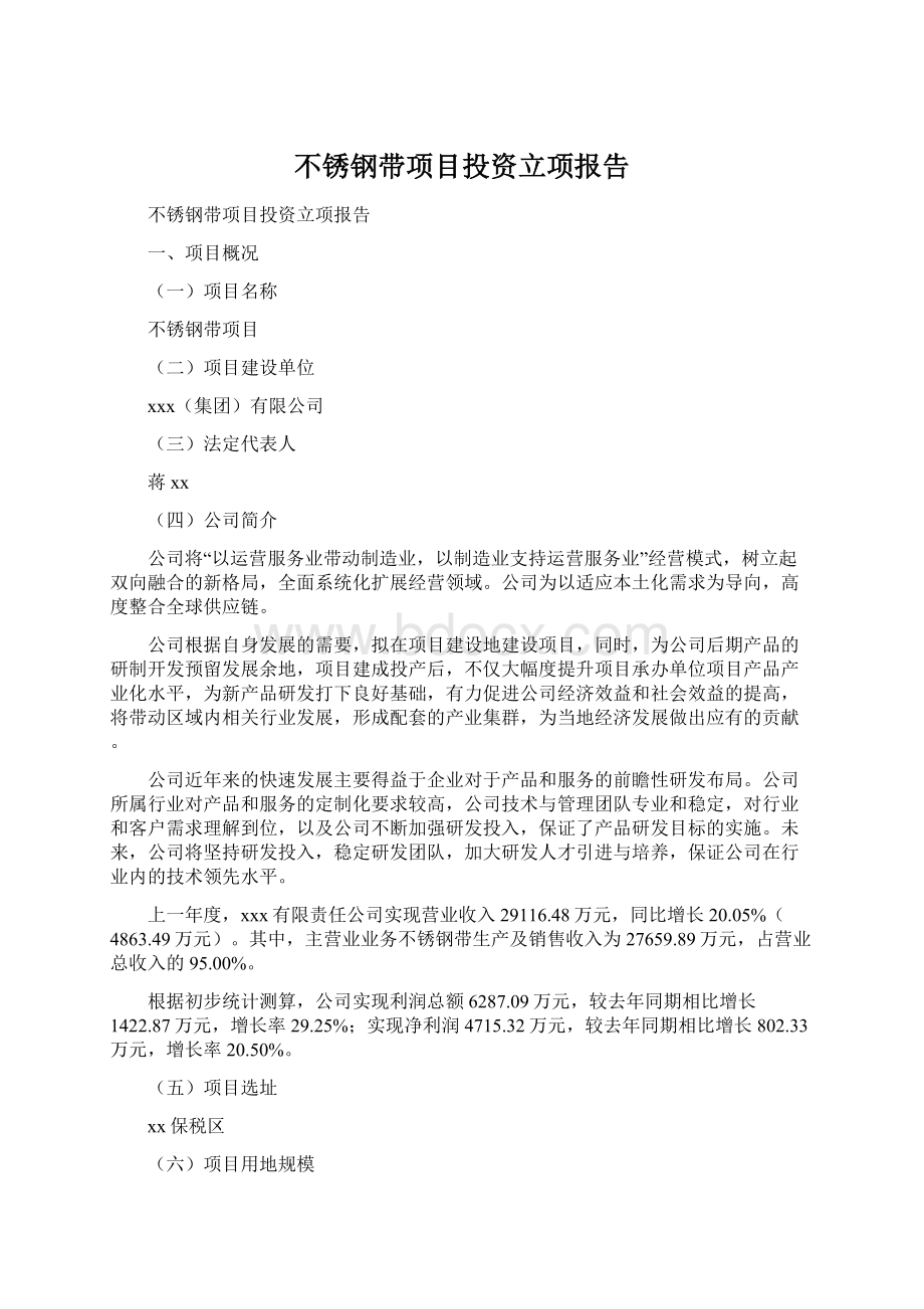 不锈钢带项目投资立项报告.docx_第1页