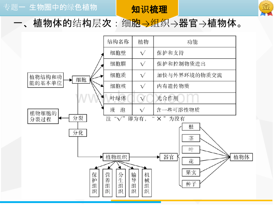 中考生物二轮专题复习课件PPT文档格式.pptx_第3页