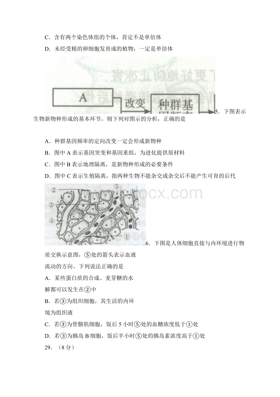 届宁夏银川一中高三上学期第四次月考生物试题及答案1Word文件下载.docx_第2页