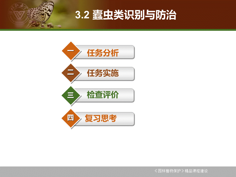 园林植物保护教学课件.ppt_第2页