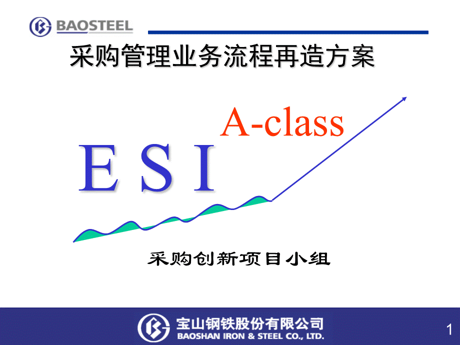 采购体系规划过程优质PPT.ppt_第1页