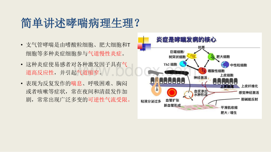 支气管哮喘护理查房.ppt_第3页