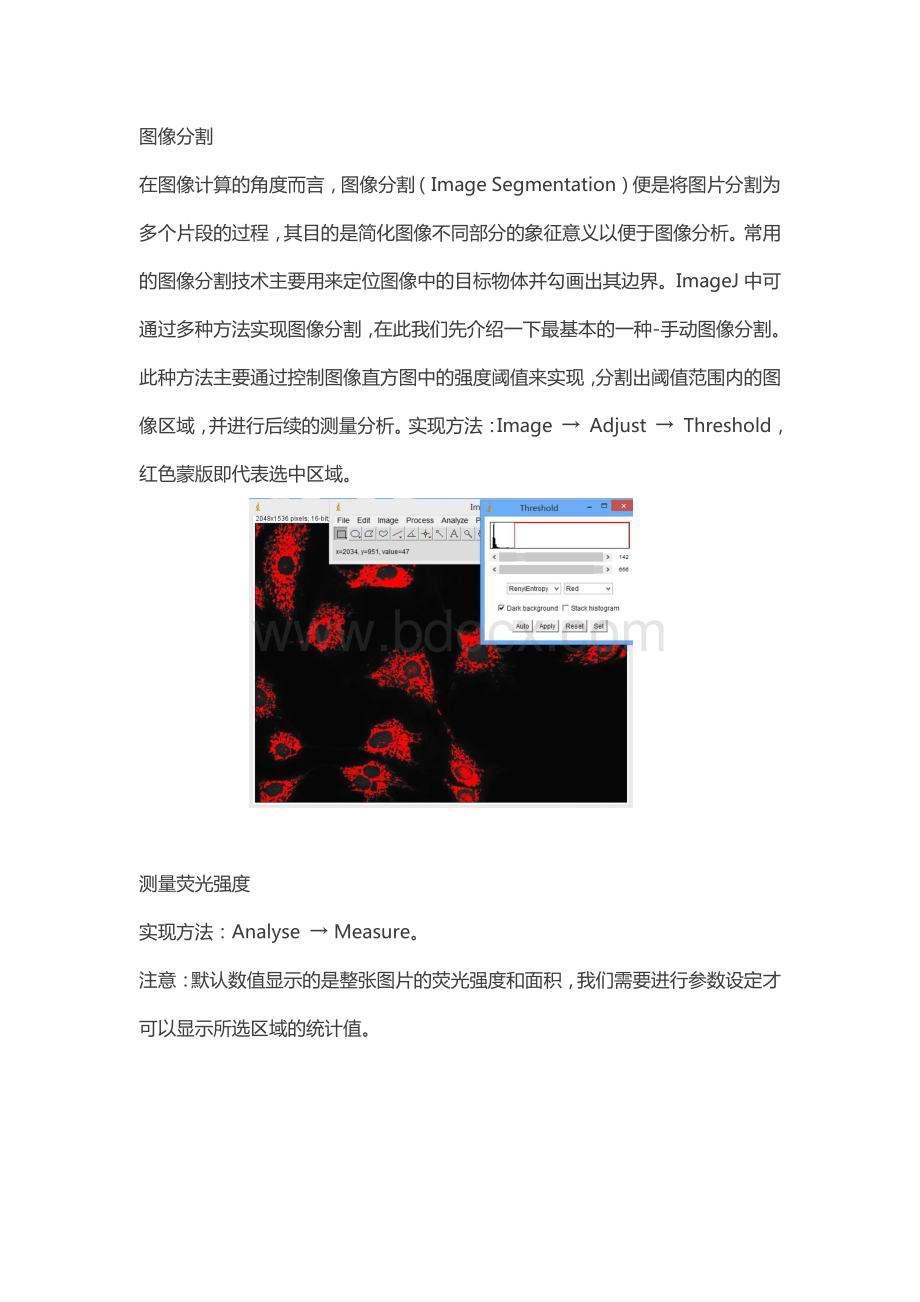 如何使用ImageJ测量荧光强度.pdf_第2页