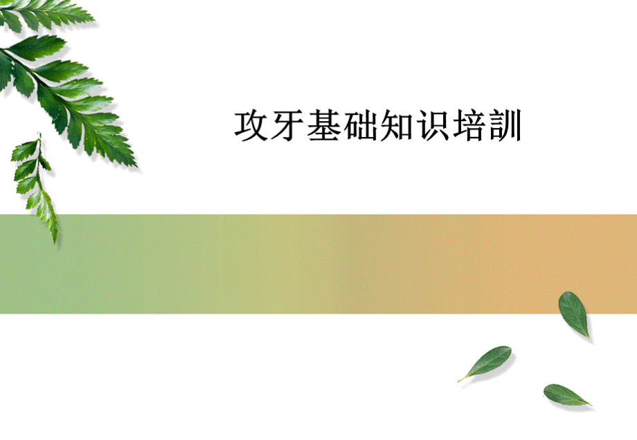 攻牙知识培训.ppt