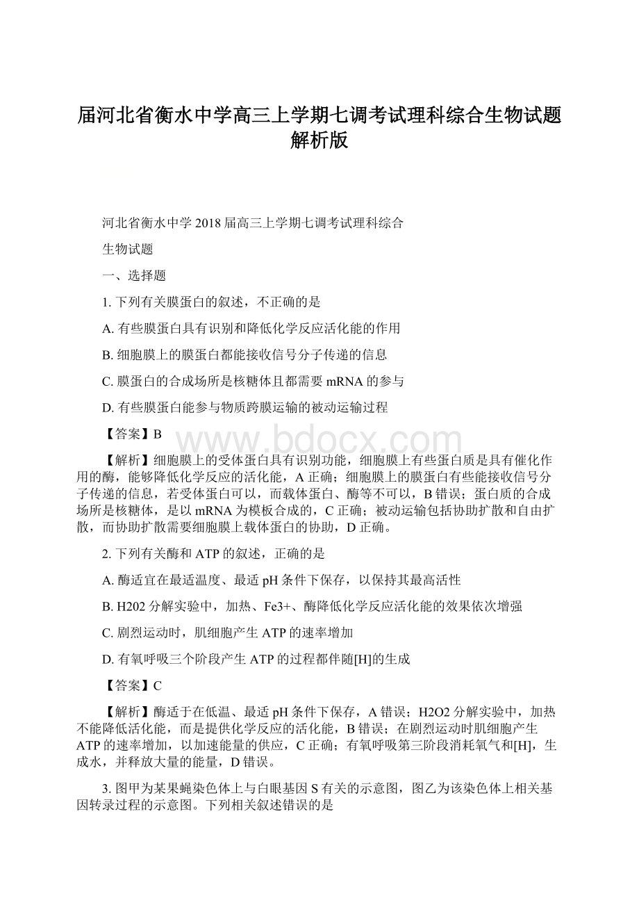 届河北省衡水中学高三上学期七调考试理科综合生物试题解析版Word格式文档下载.docx