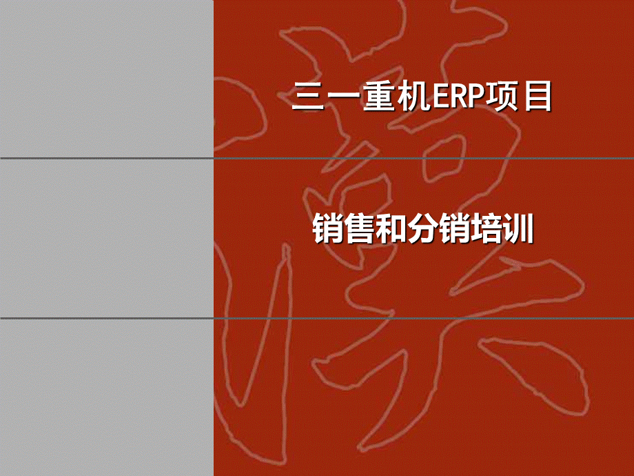 SAPSD模块详细讲义.ppt_第1页