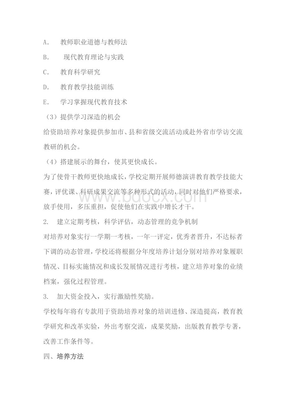 张李小学骨干教师培养机制和办法_精品文档Word下载.doc_第2页