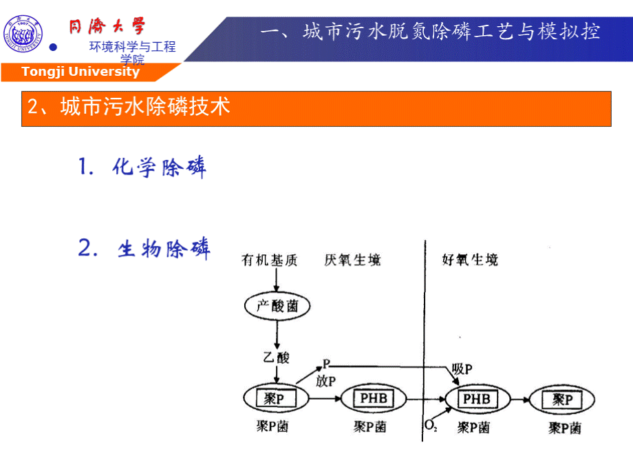 AAO污水处理工艺介绍PPT课件下载推荐.pptx_第3页