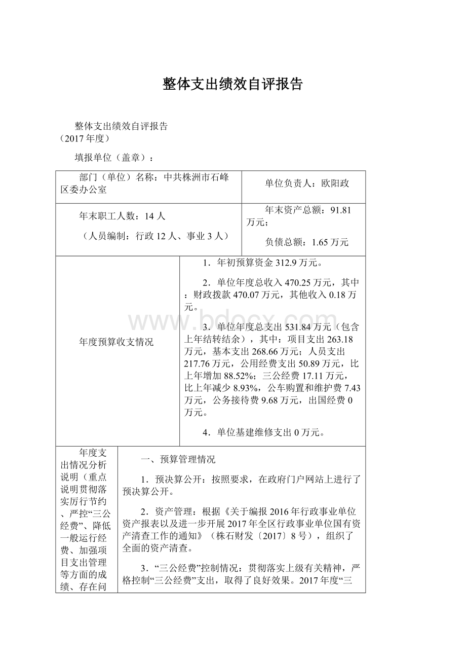 整体支出绩效自评报告文档格式.docx