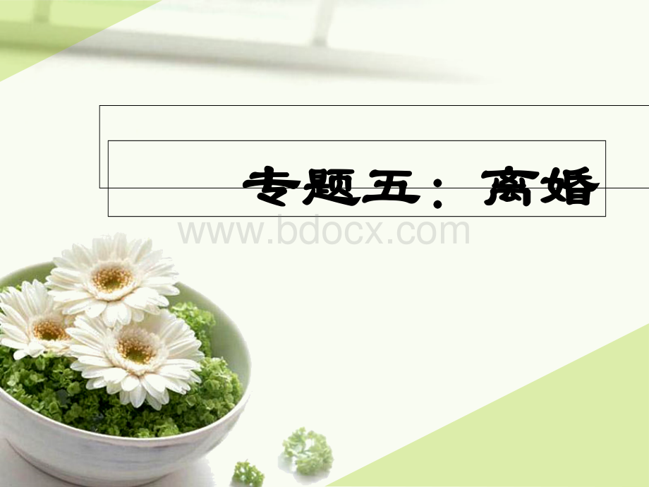 专题五：离婚PPT资料.ppt