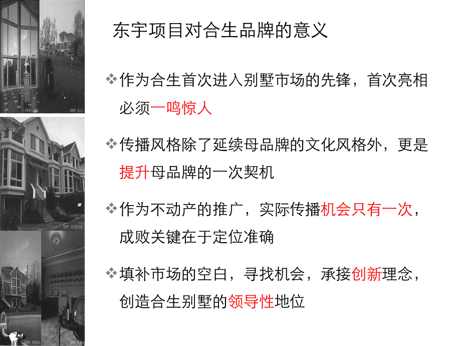 合生东宇项目推广策略PPT格式课件下载.ppt_第2页