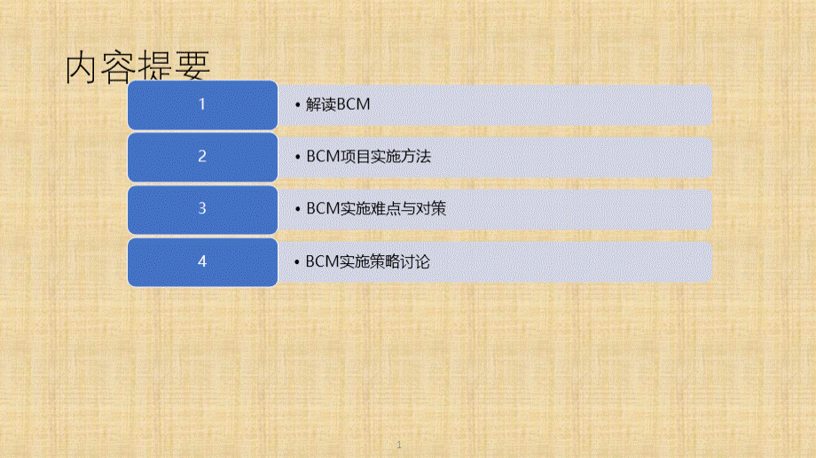 BCM实施指南优质PPT.pptx_第1页