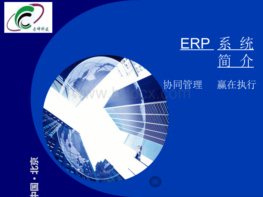 ERP系统PPT文档格式.ppt_第2页