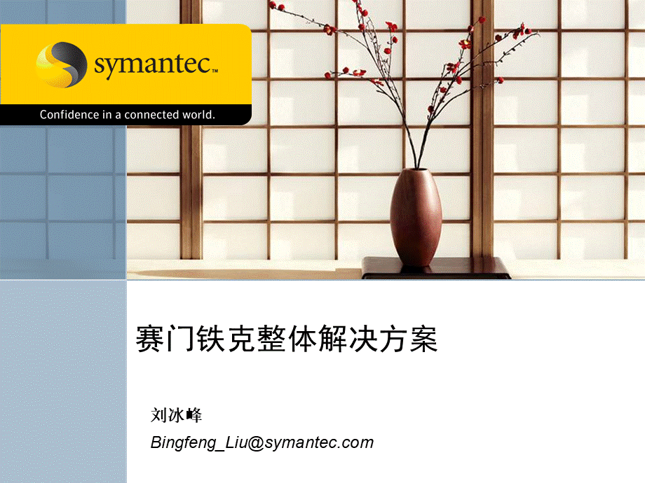 SYMTEC整体安全解决方案.ppt