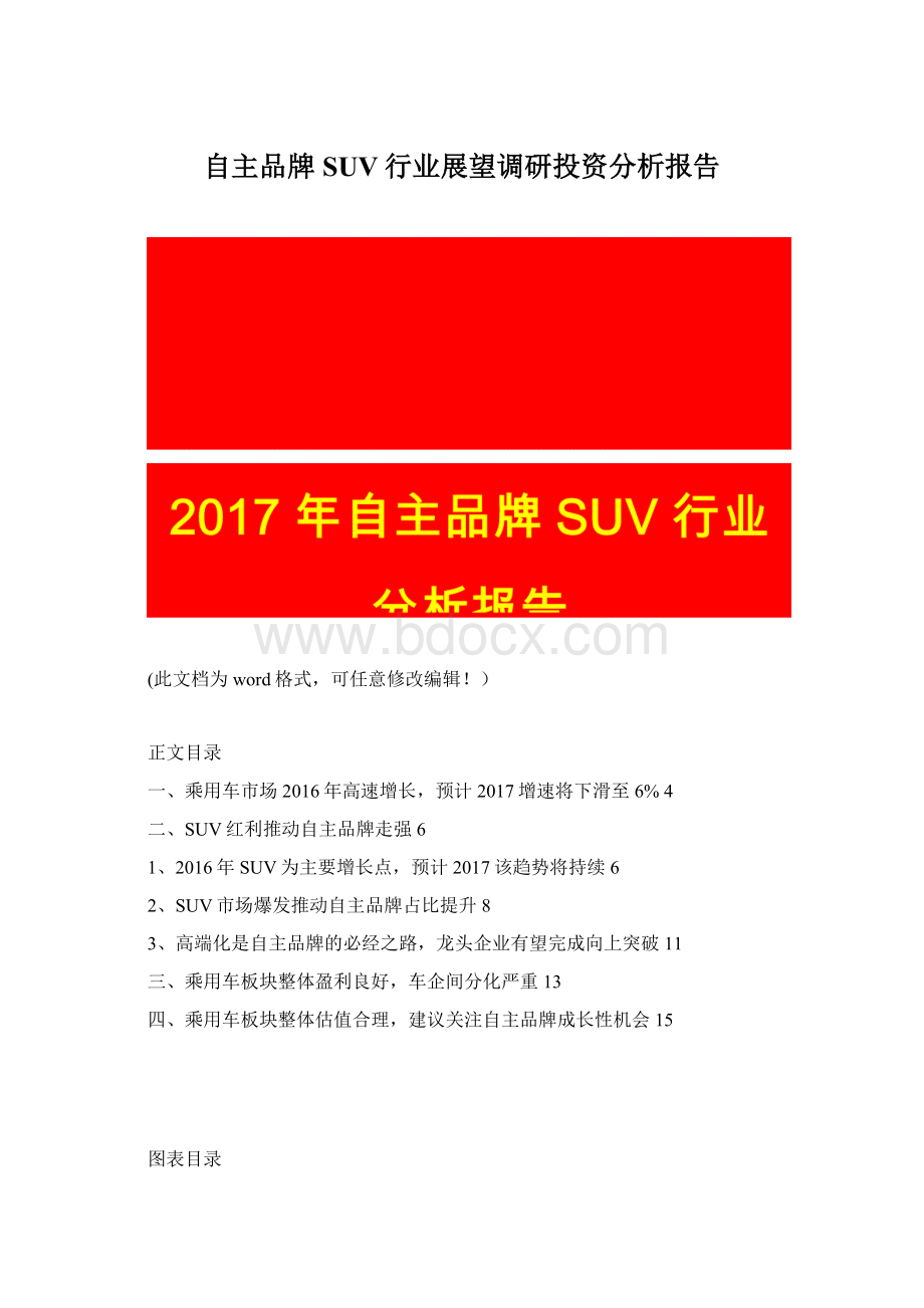自主品牌SUV行业展望调研投资分析报告Word格式文档下载.docx