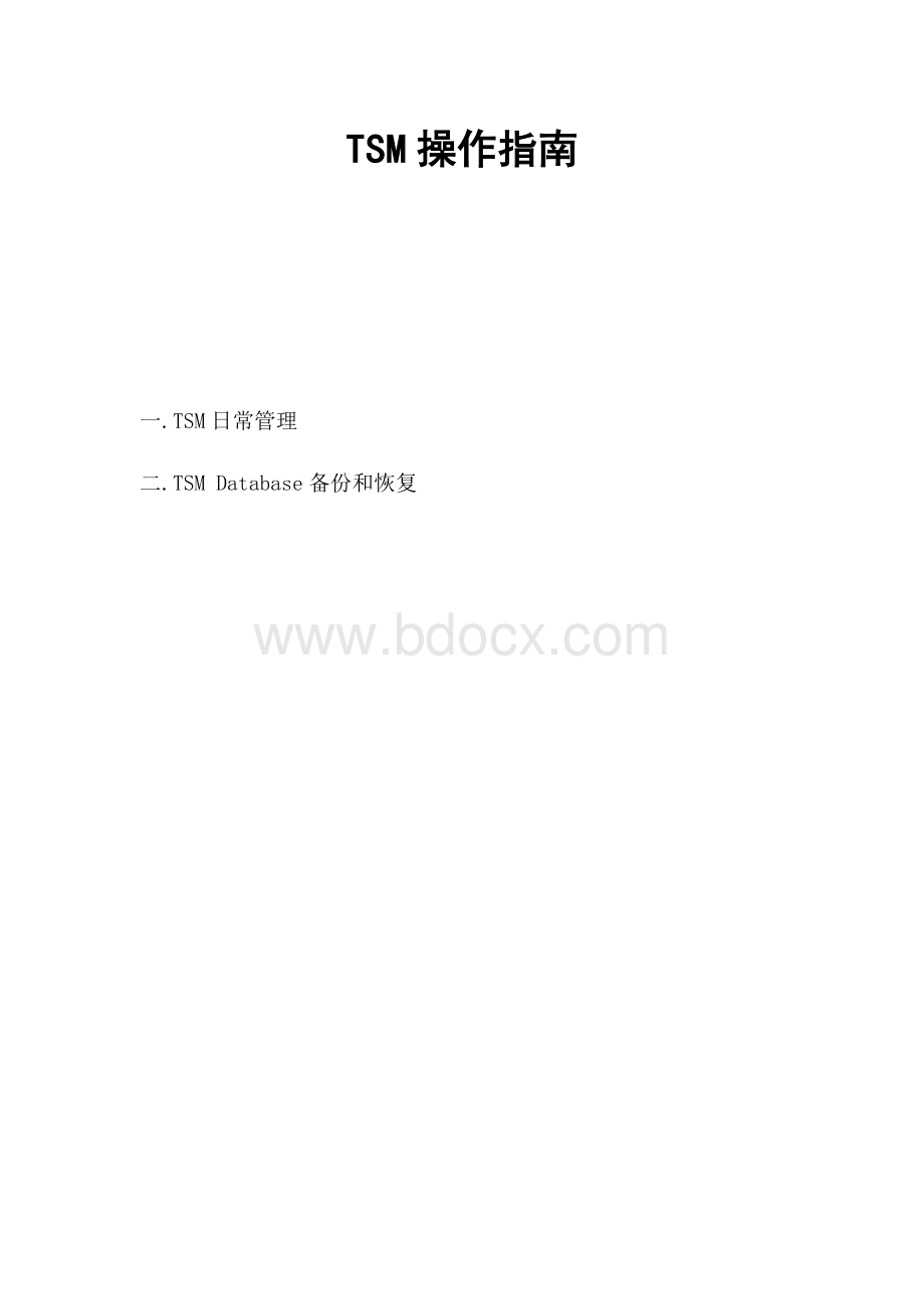 TSM操作指南.docx